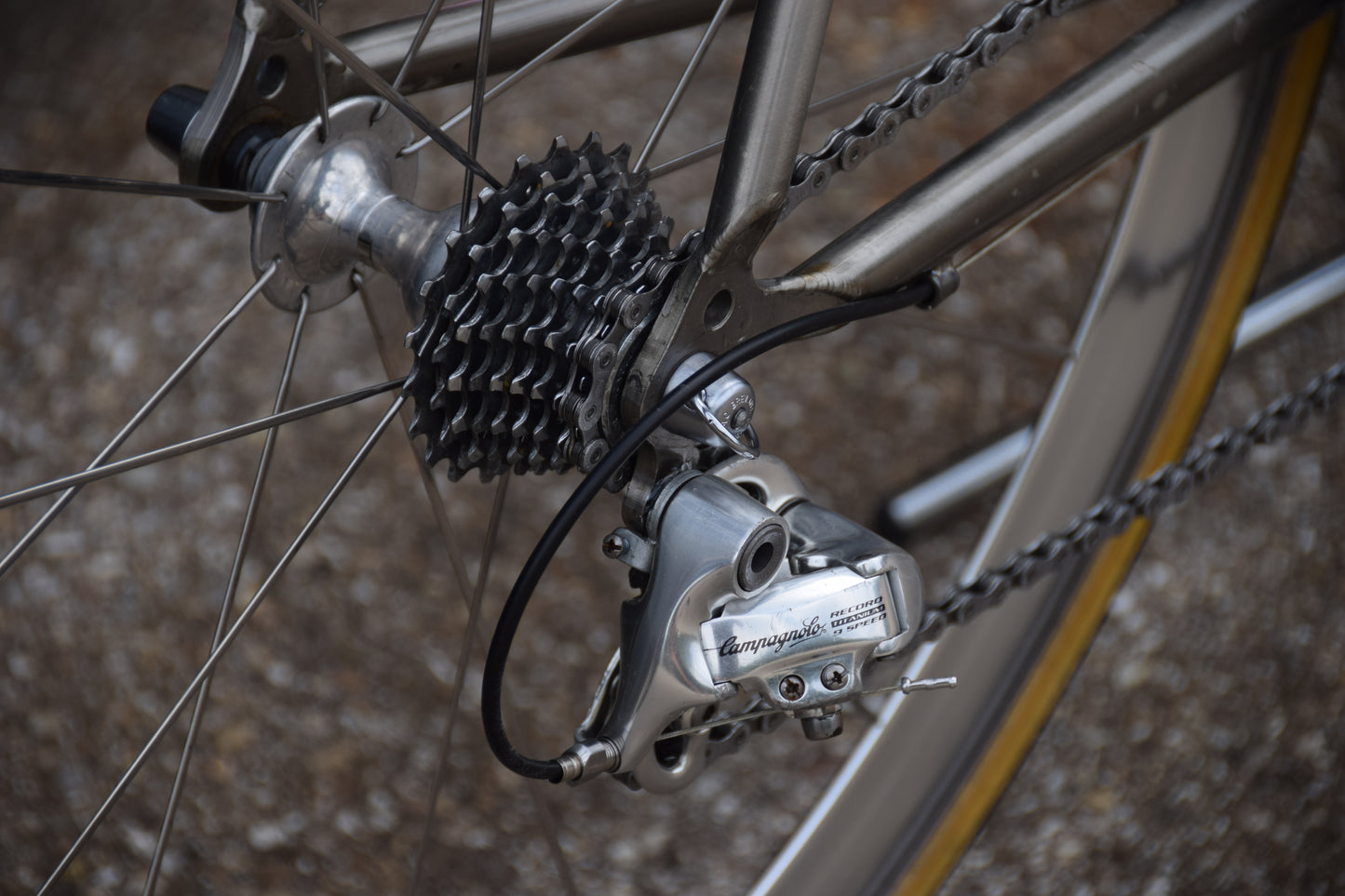 Colnago Bititan Art Decor 54 cm