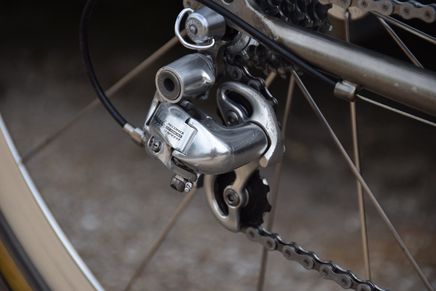 Colnago Bititan Art Decor 54 cm