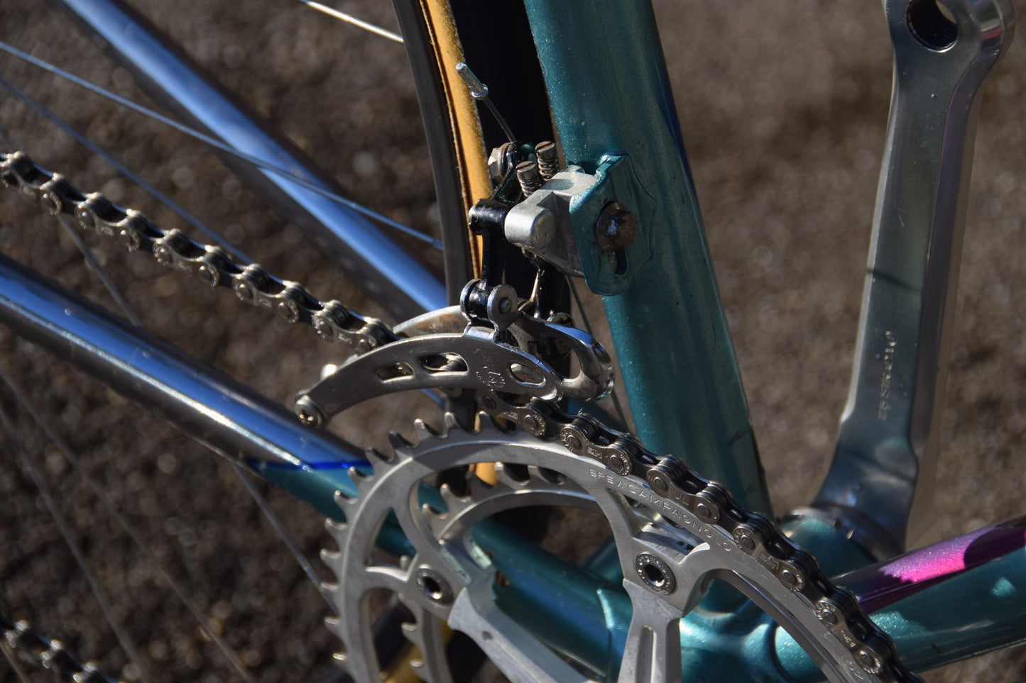 Wilier Triestina 56 cm