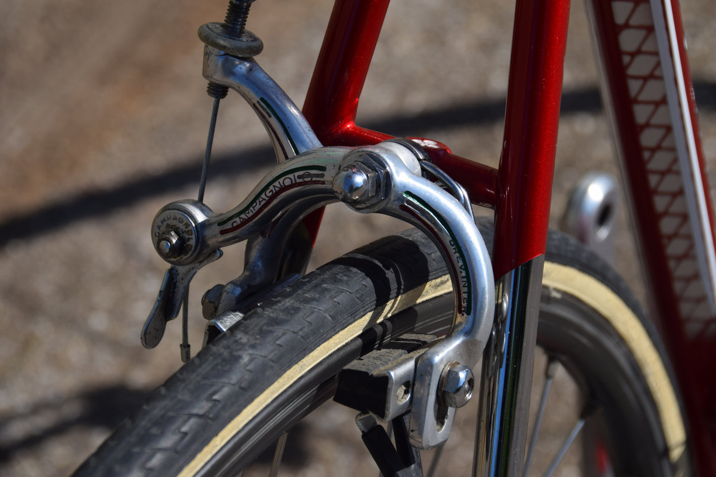 Colnago Master Saronni Retinato 55 cm