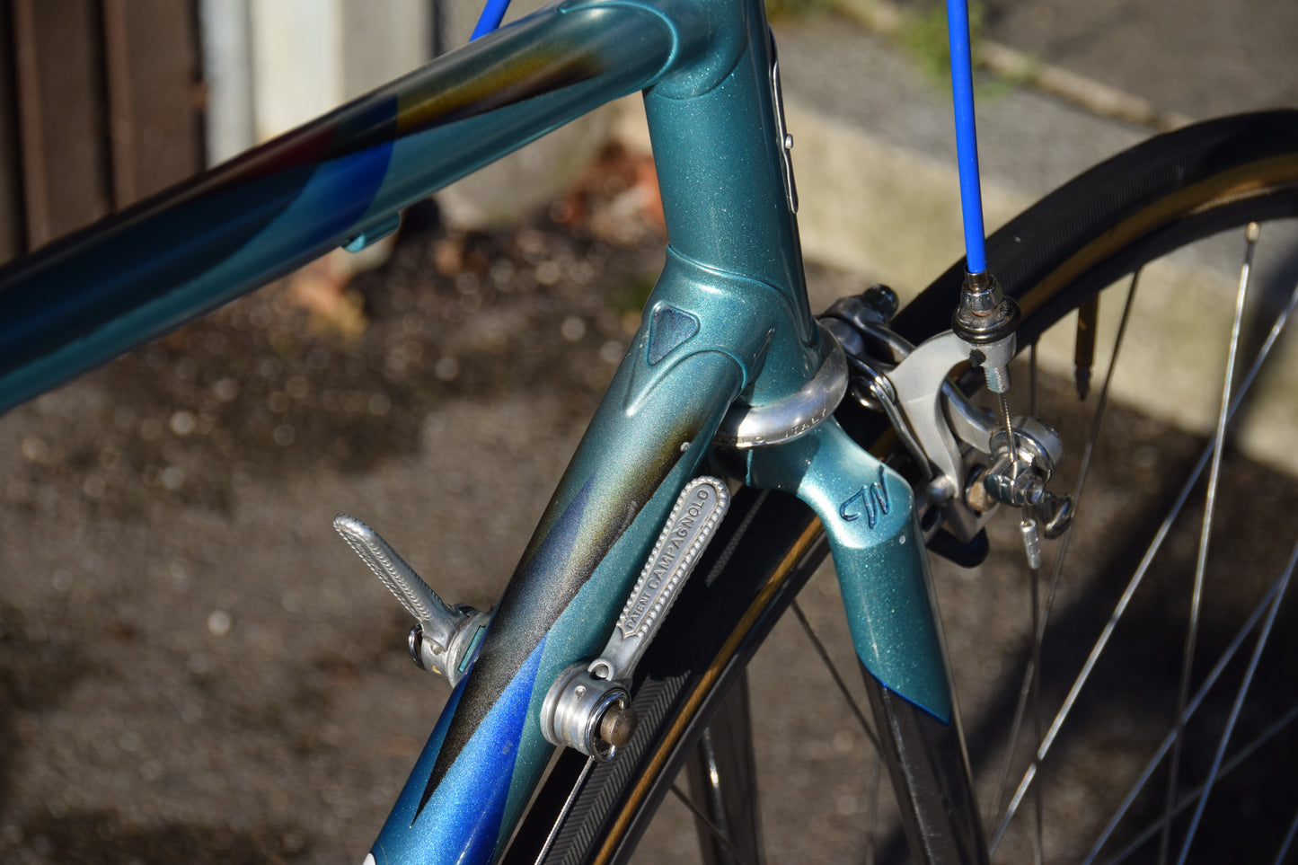 Wilier Triestina 56 cm