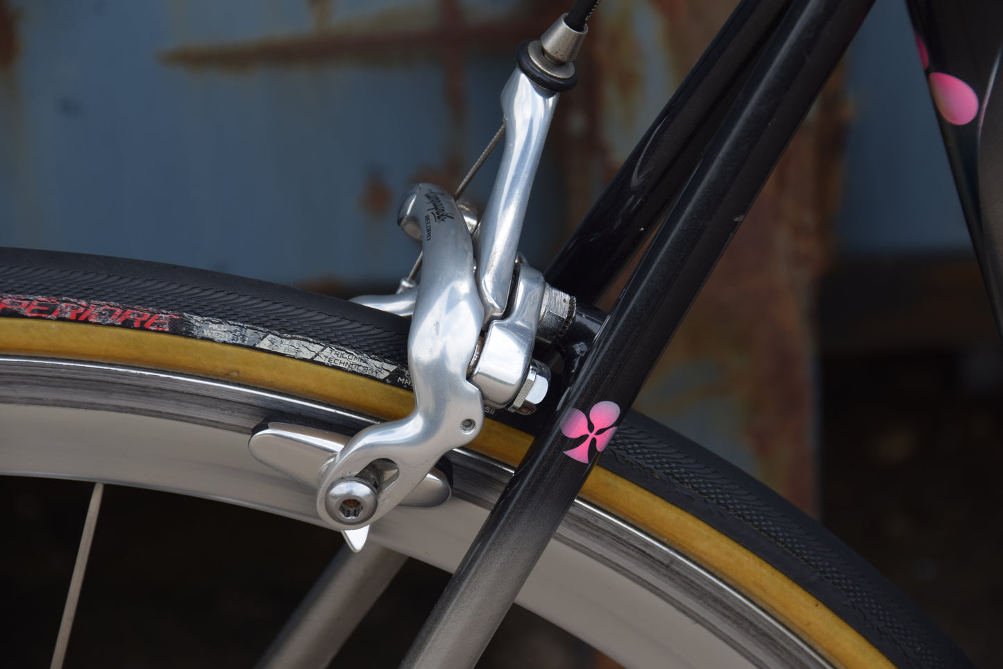 Colnago Bititan Art Decor 54 cm