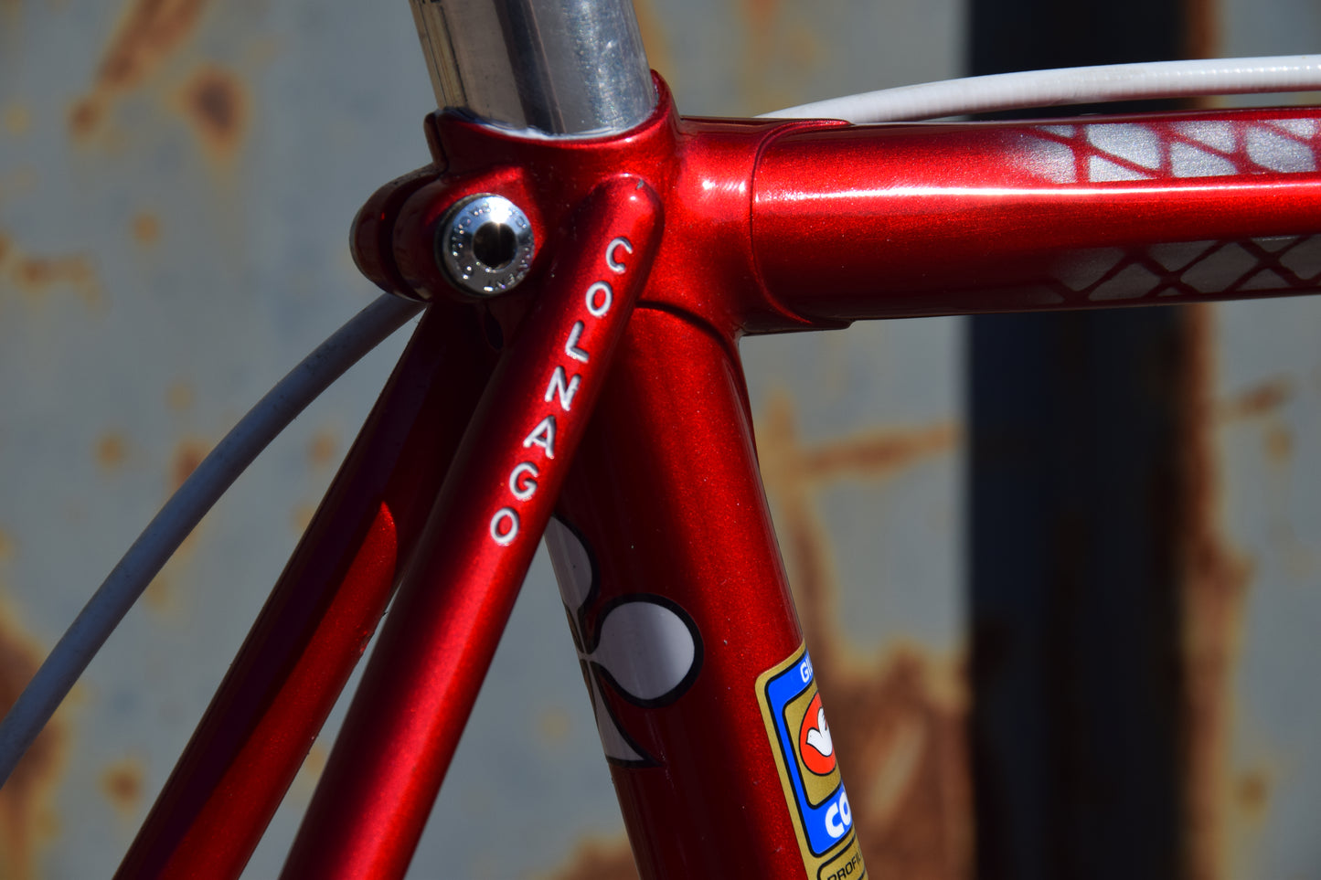 Colnago Master Saronni Retinato 55 cm
