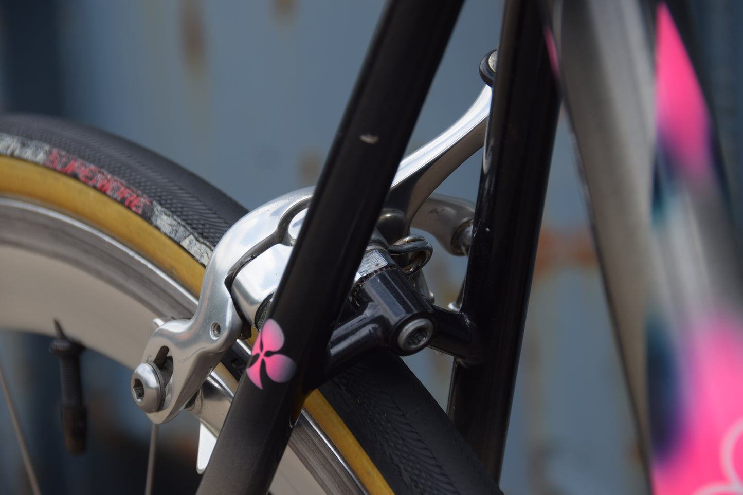 Colnago Bititan Art Decor 54 cm