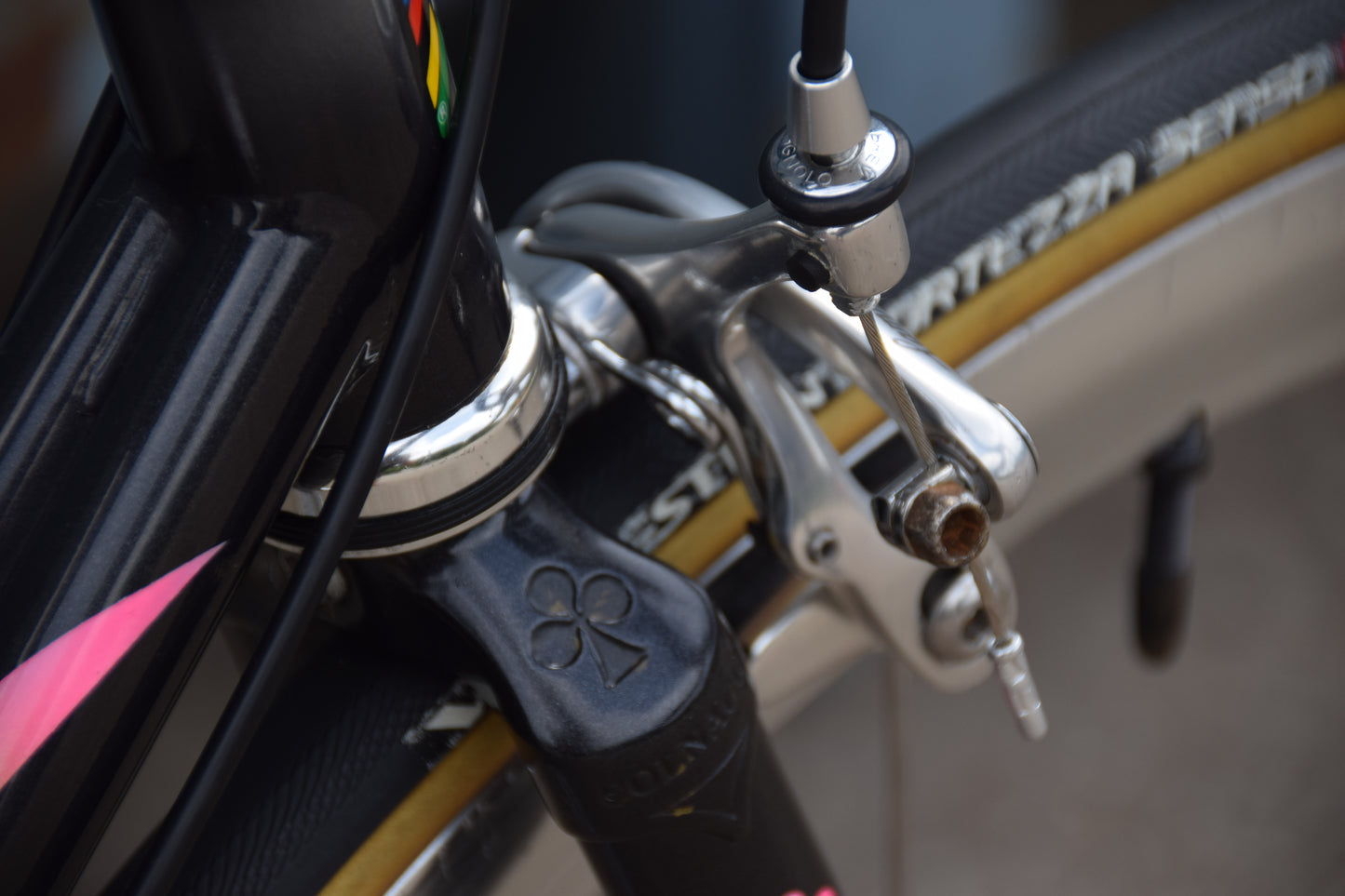 Colnago Bititan Art Decor 54 cm
