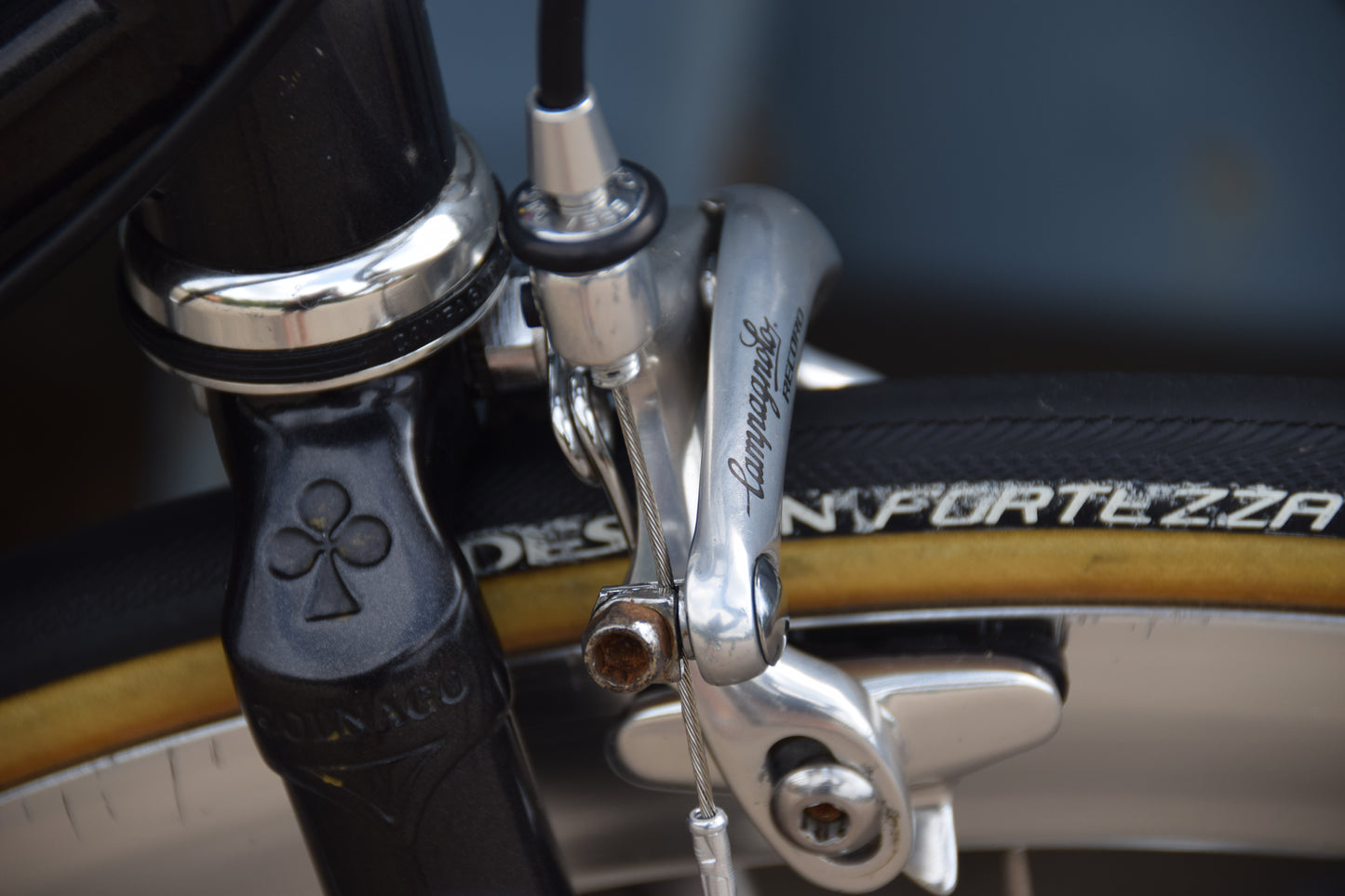 Colnago Bititan Art Decor 54 cm