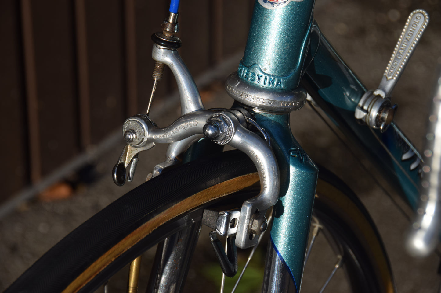 Wilier Triestina 56 cm