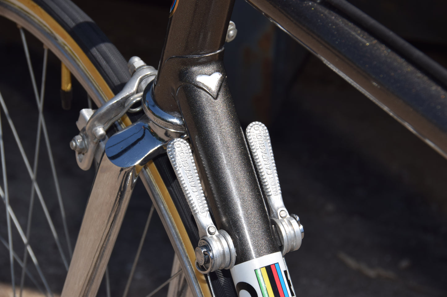 Colnago Sport 55 cm