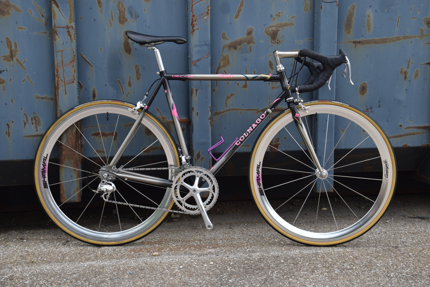 Colnago Bititan Art Decor 54 cm