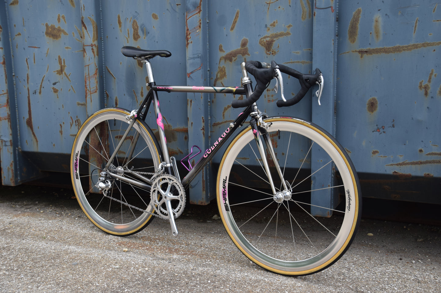 Colnago Bititan Art Decor 54 cm