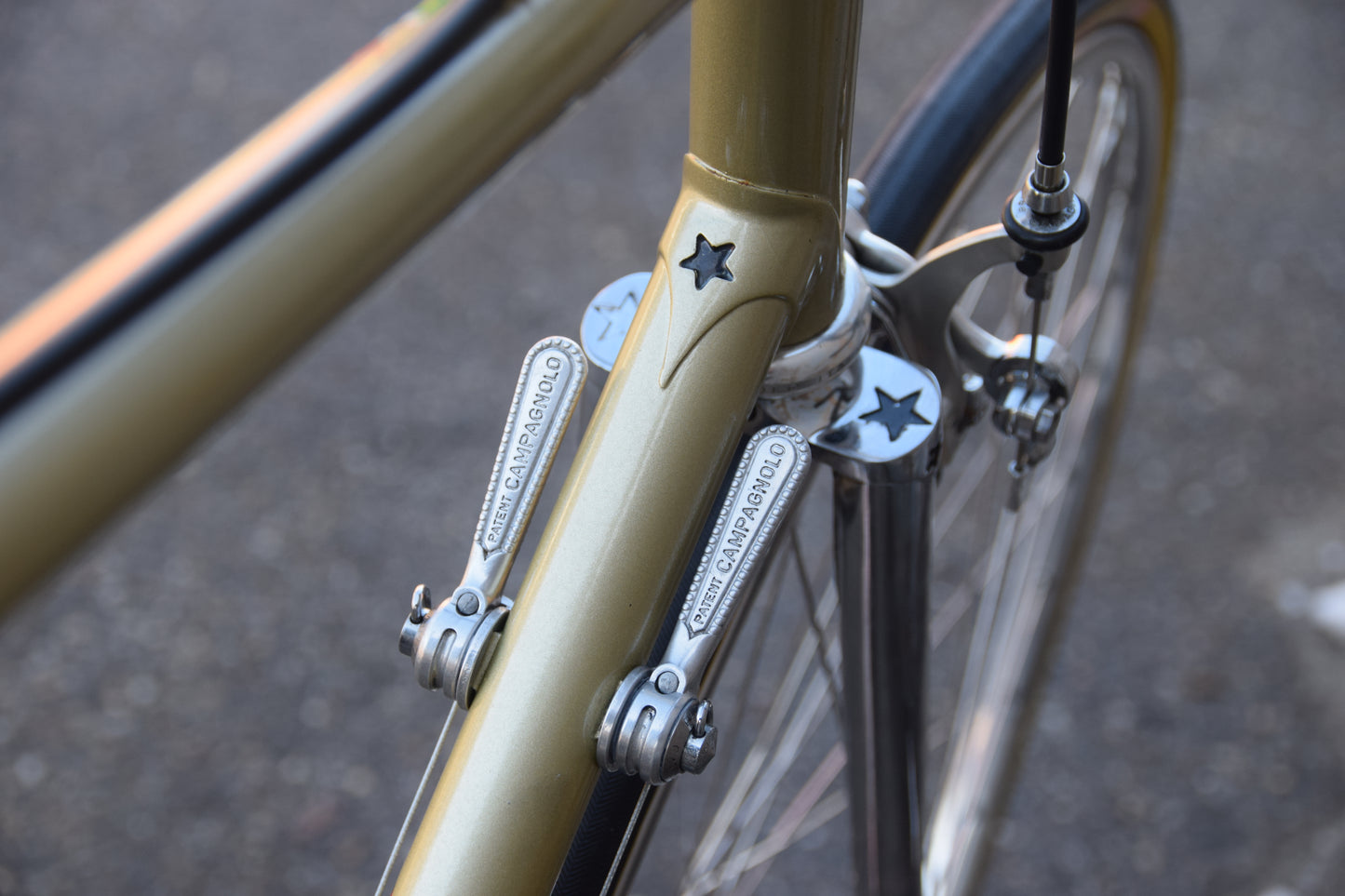 Viner Spécial Professionnel 56 cm