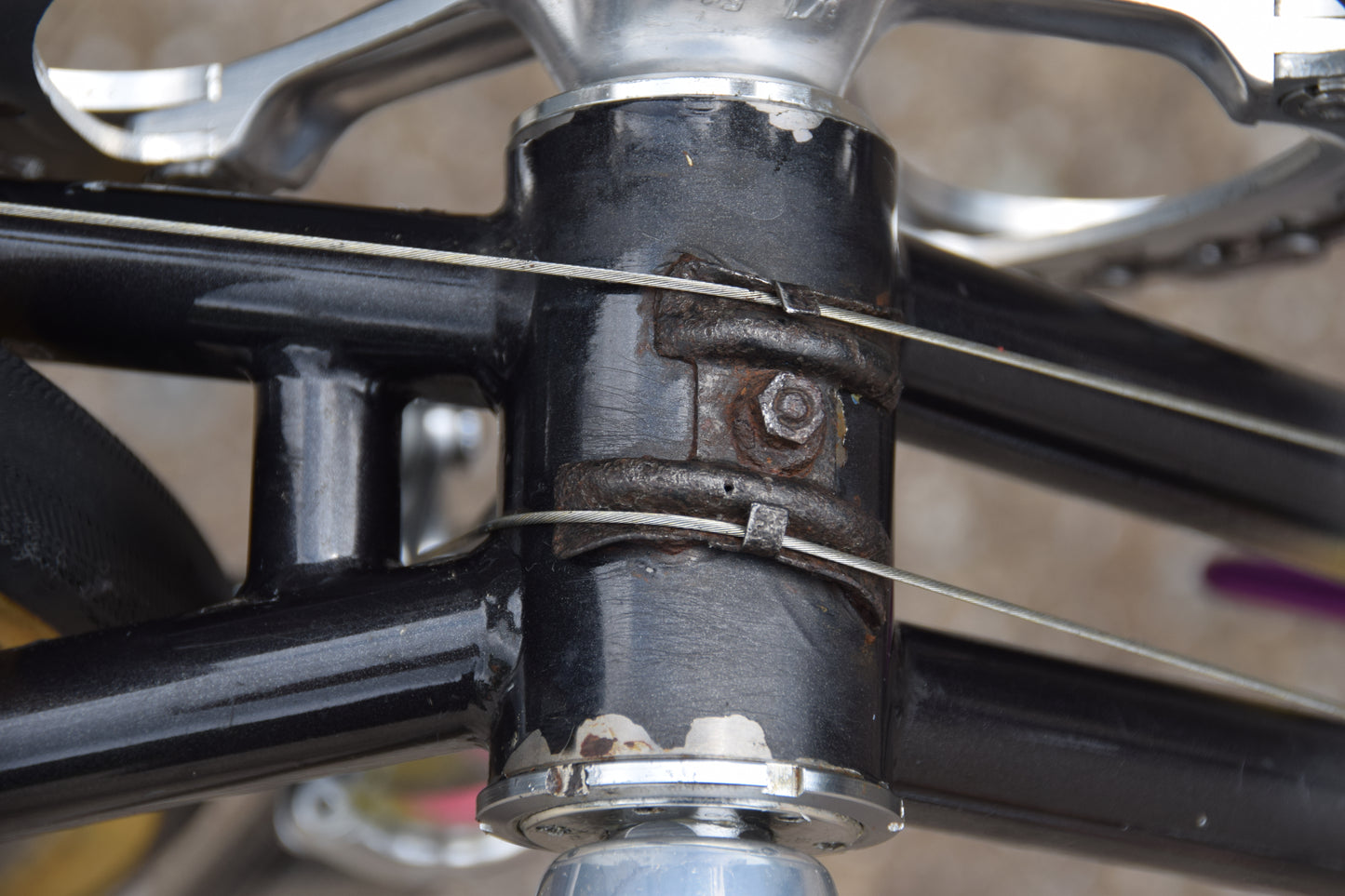 Colnago Bititan Art Decor 54 cm