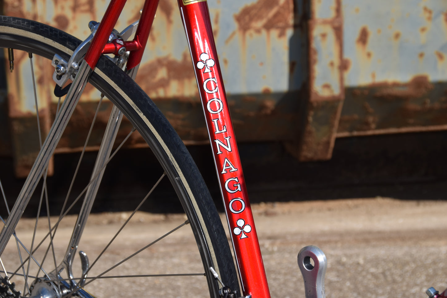 Colnago Master Saronni Retinato 55 cm