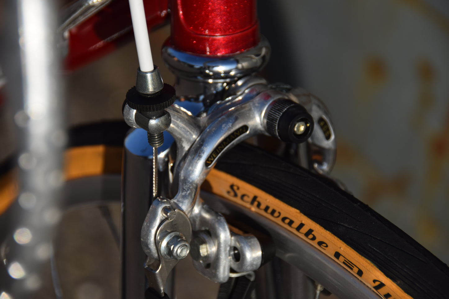 Colnago Sport 56 cm