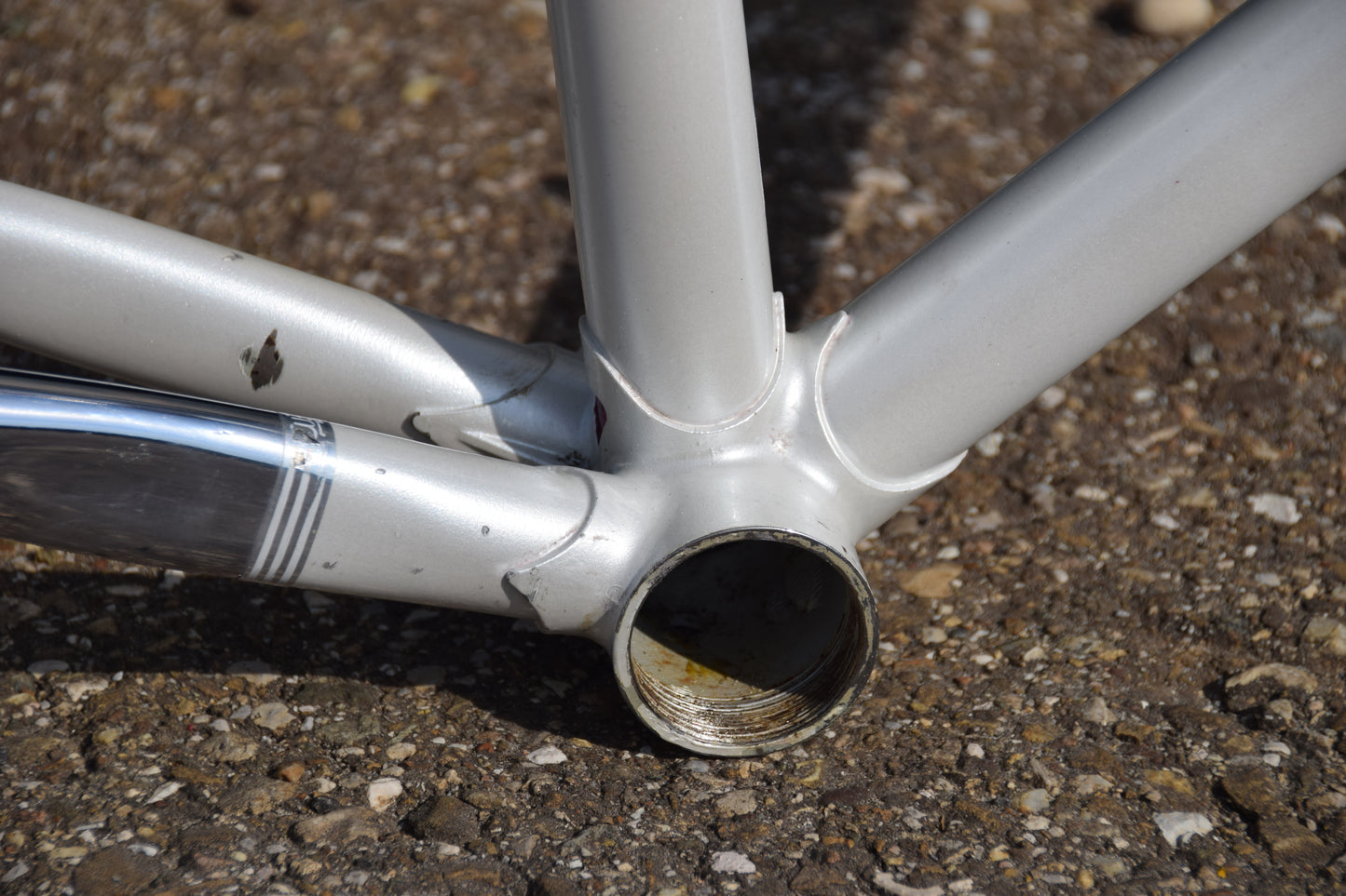 Eddy Merckx Corsa Extra Frame 53 cm