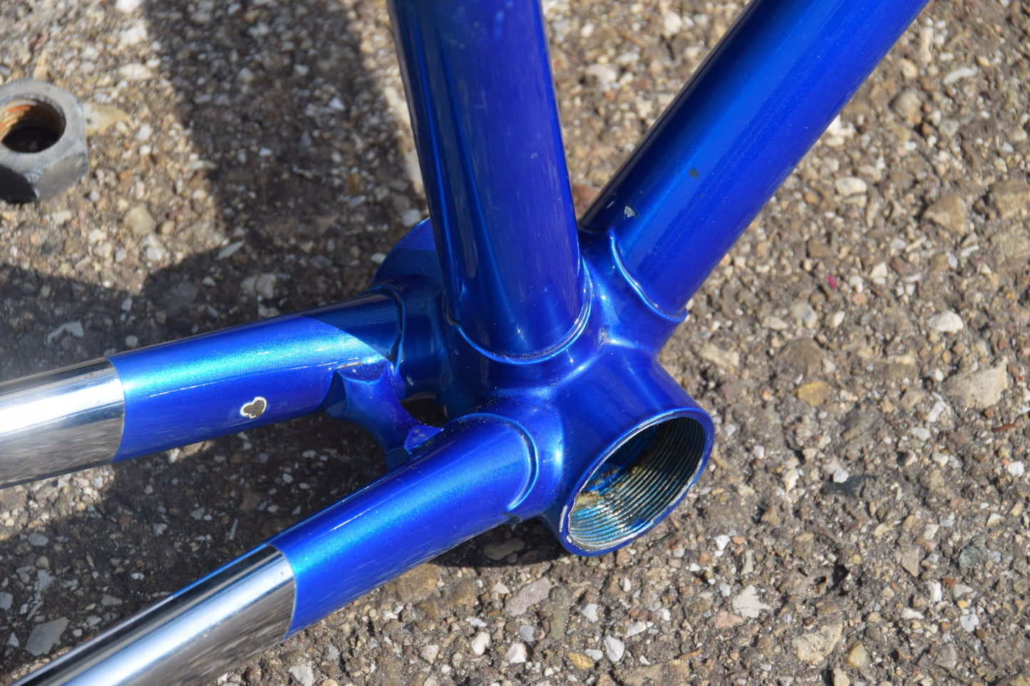 Le Taureau Alessandro Baldi Frame 48 cm