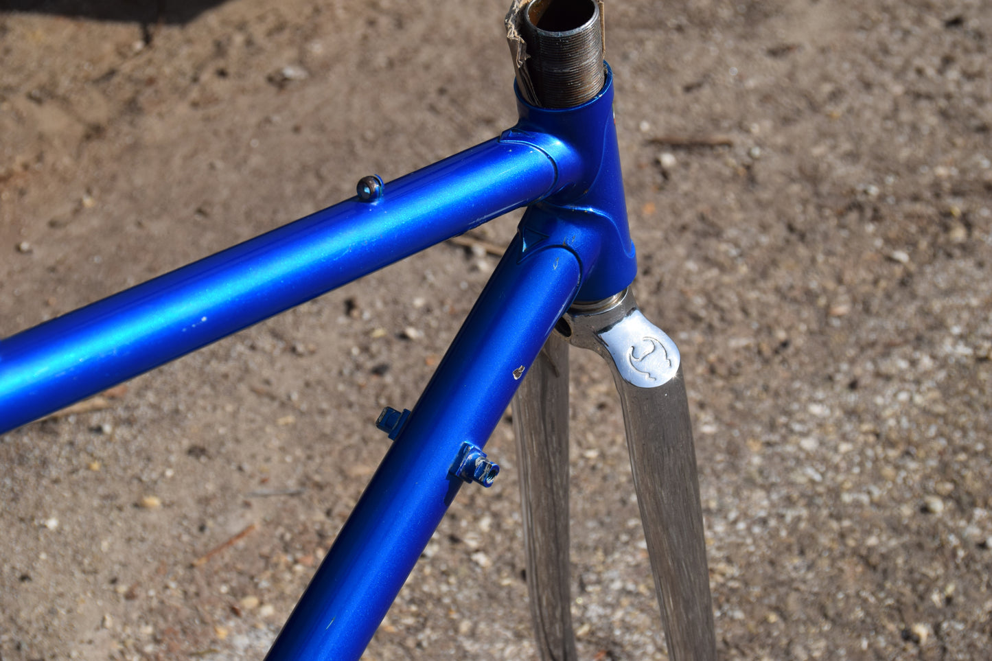 Le Taureau Alessandro Baldi Frame 48 cm