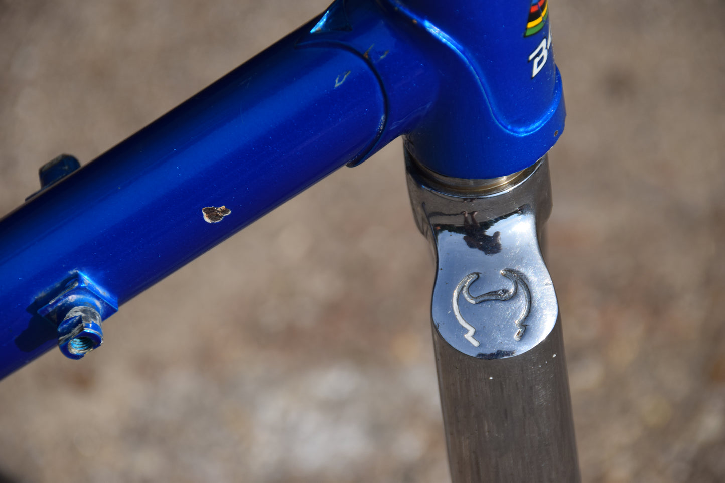 Le Taureau Alessandro Baldi Frame 48 cm