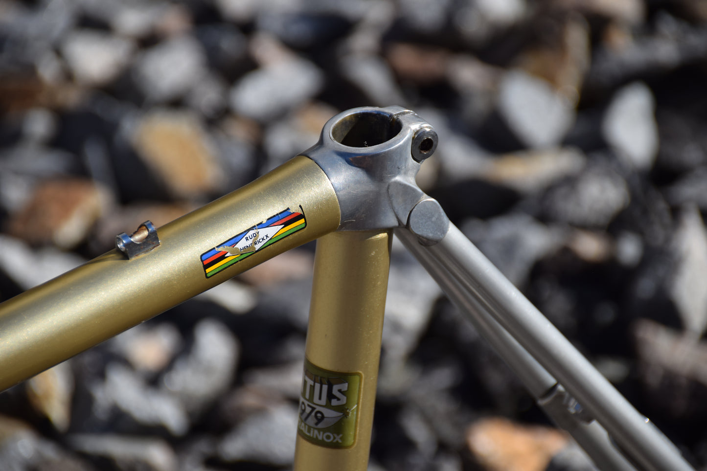 Vitus Duralinox 979 54 cm
