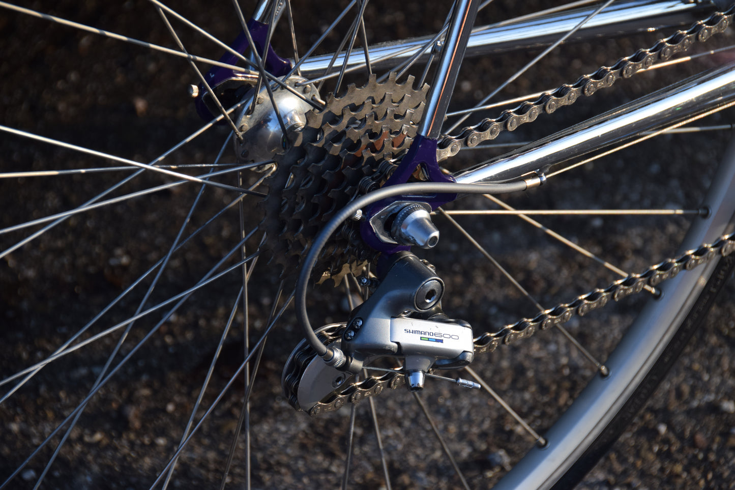 Romani Columbus Gara 58 cm