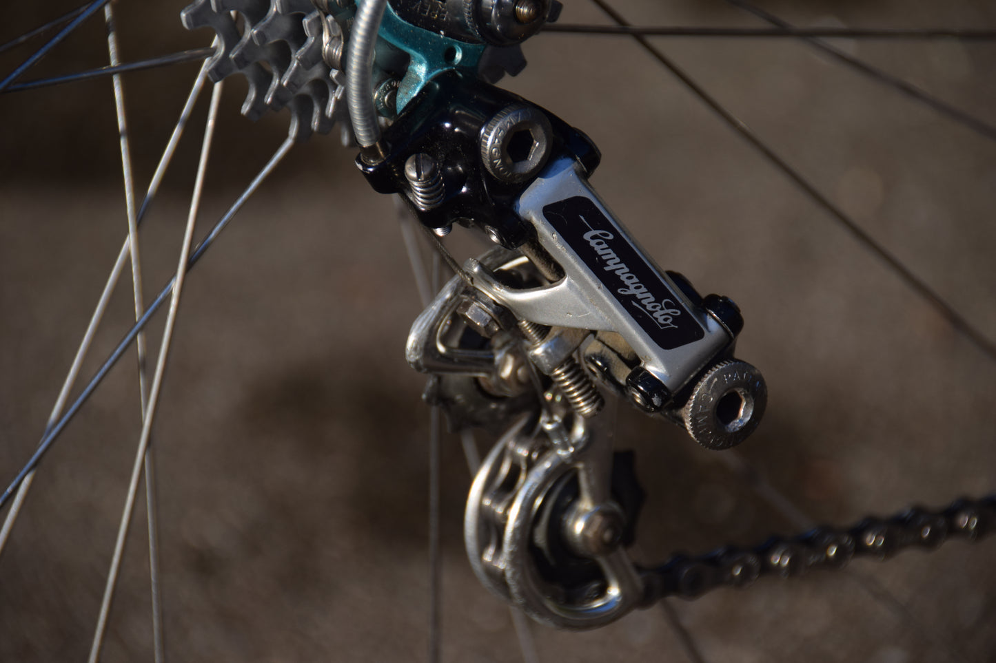 Wilier Triestina 56 cm