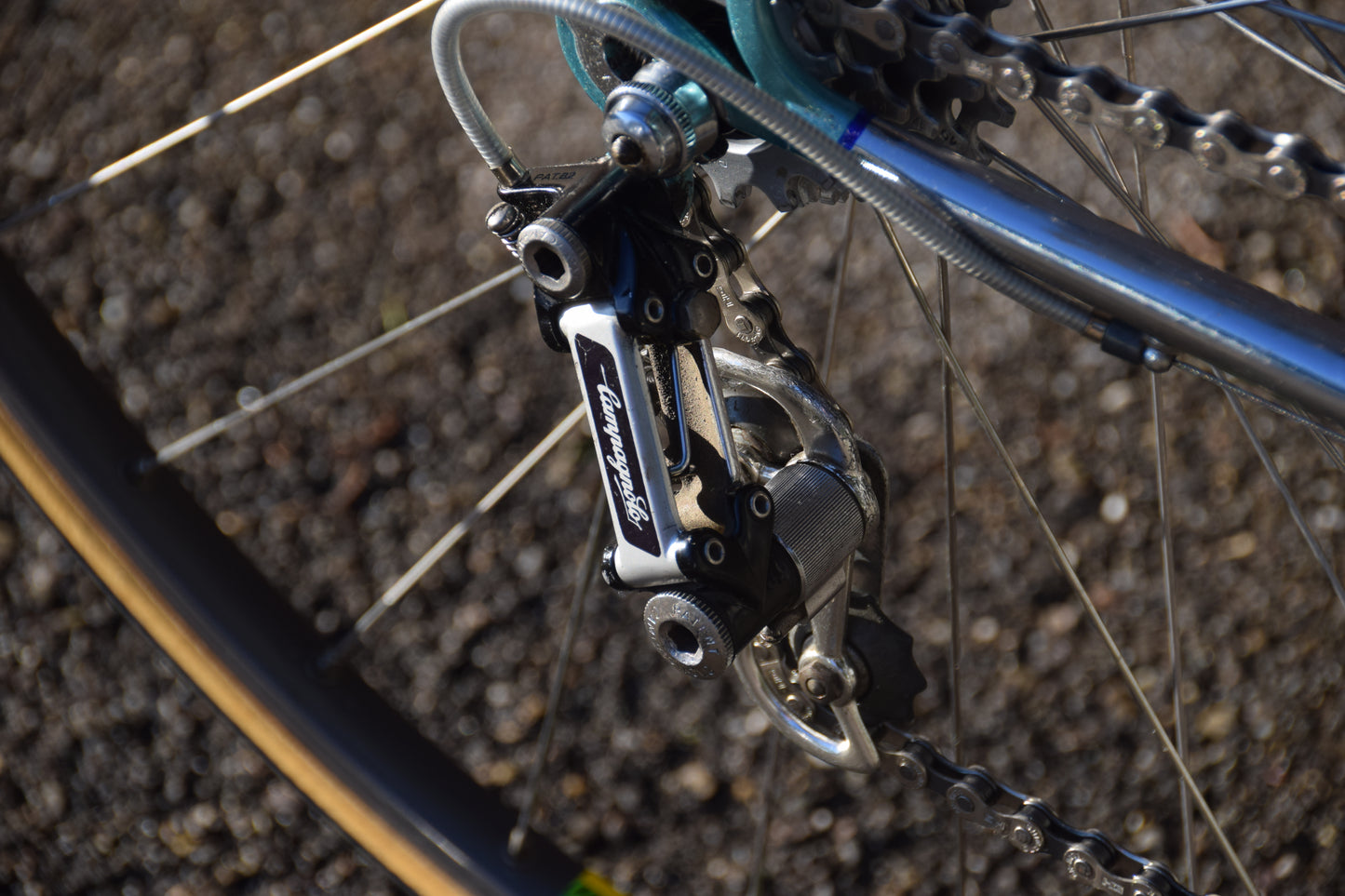 Wilier Triestina 56 cm
