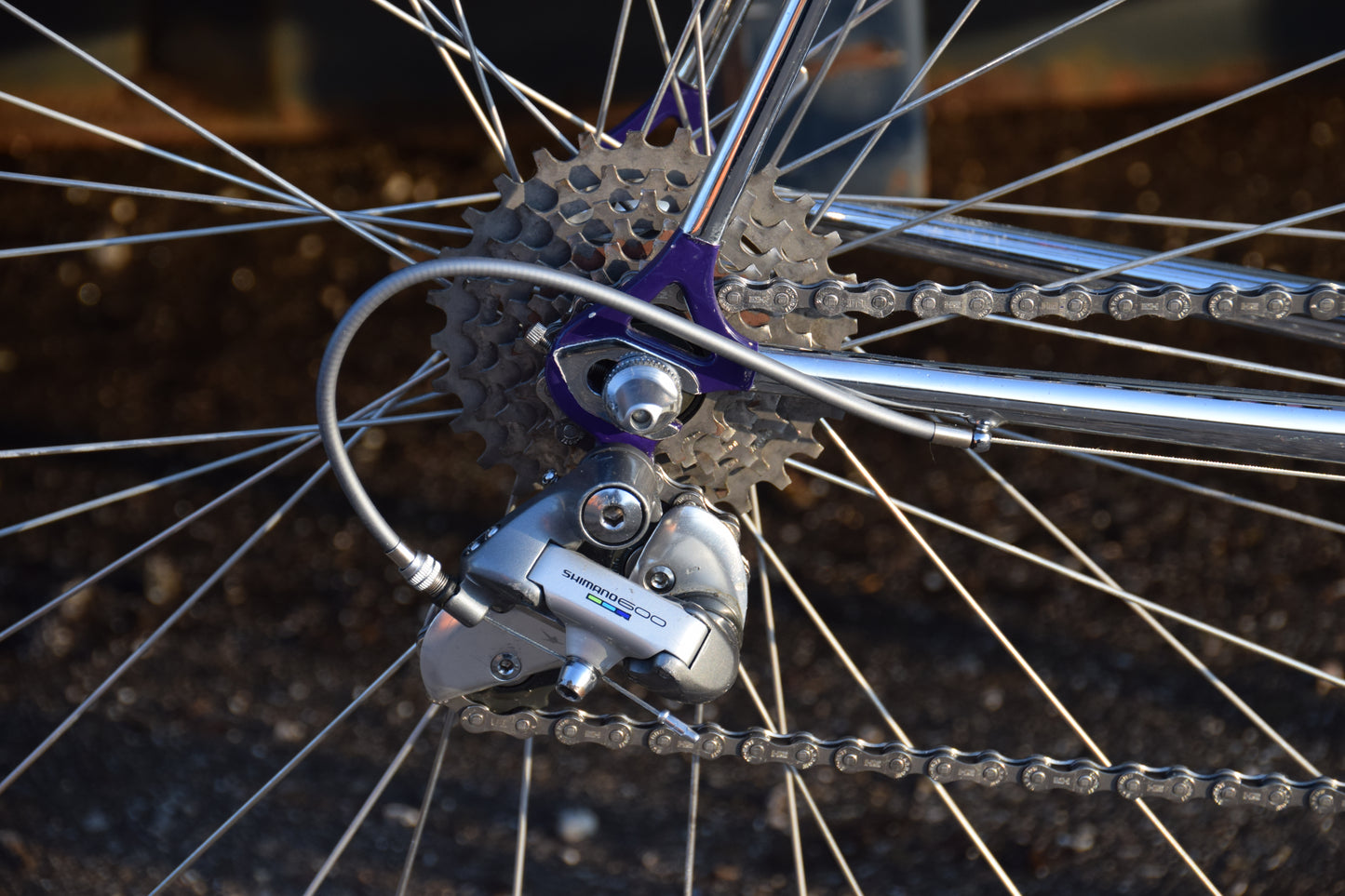 Romani Columbus Gara 58 cm