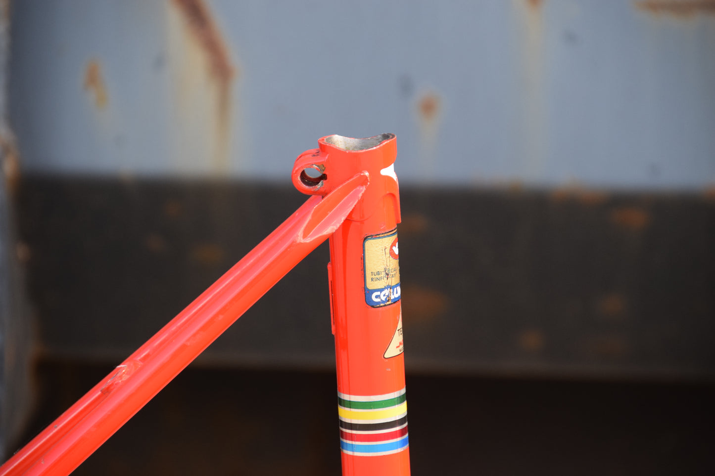 Mairag 2-Star Columbus Tretubi Frame 51 cm