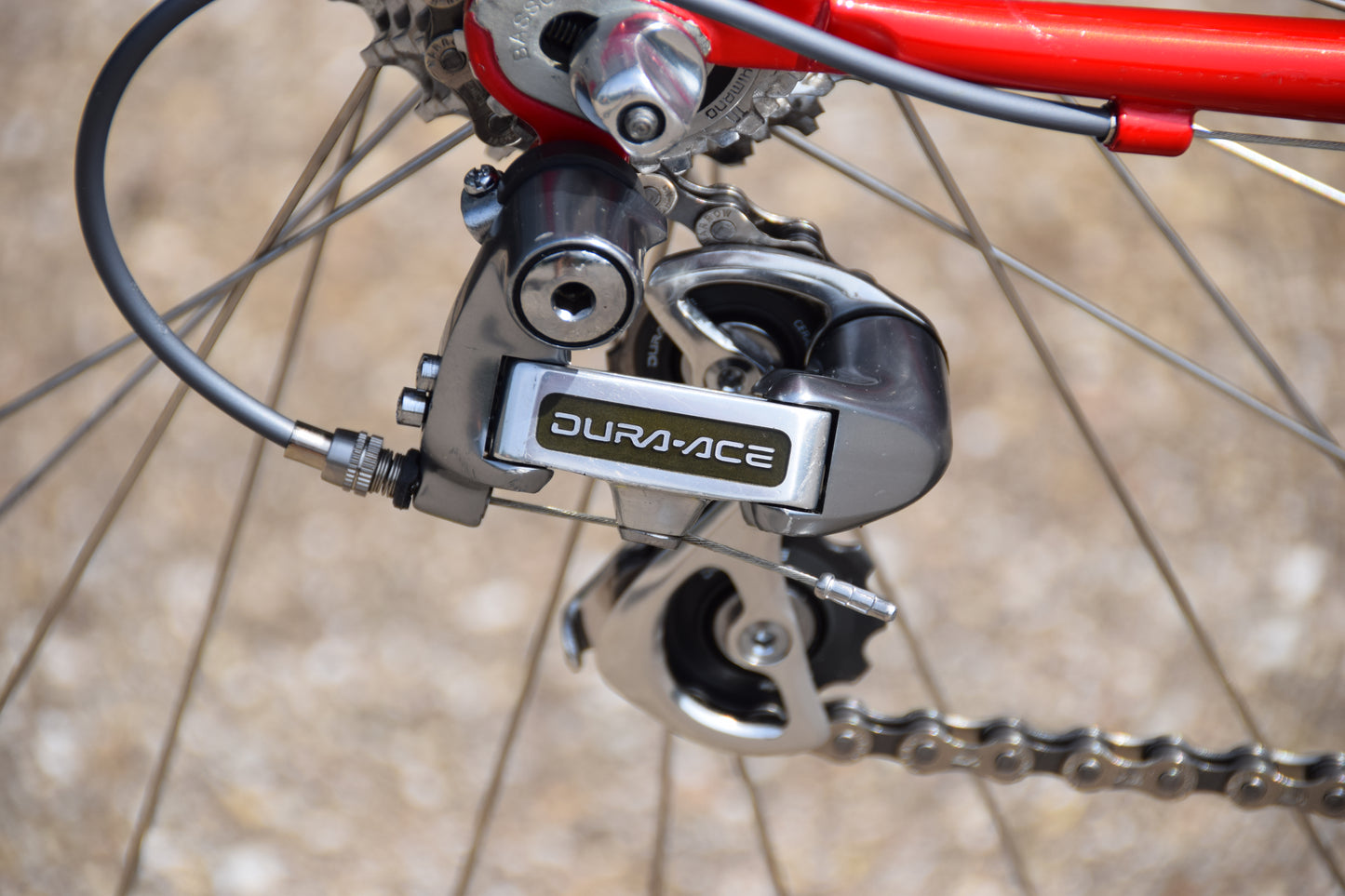 Basso Loto 53 cm