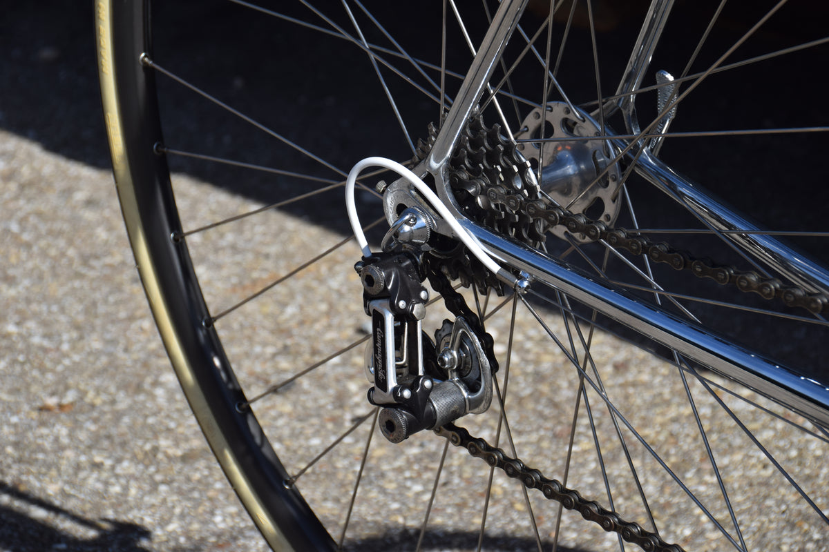 Francesco Moser 51.151 Cromovelato 55 cm