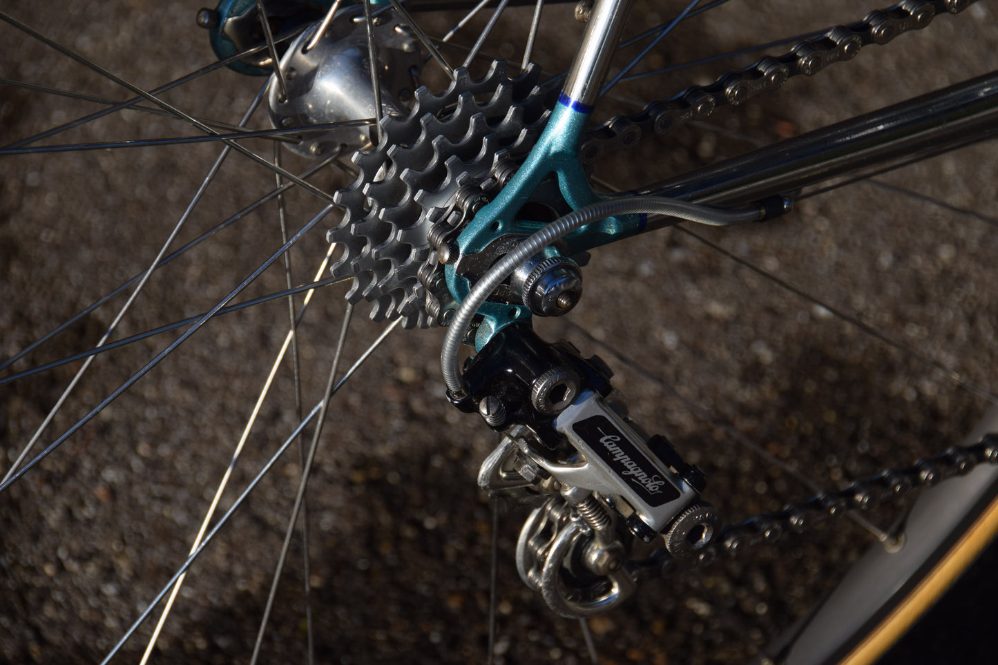 Wilier Triestina 56 cm