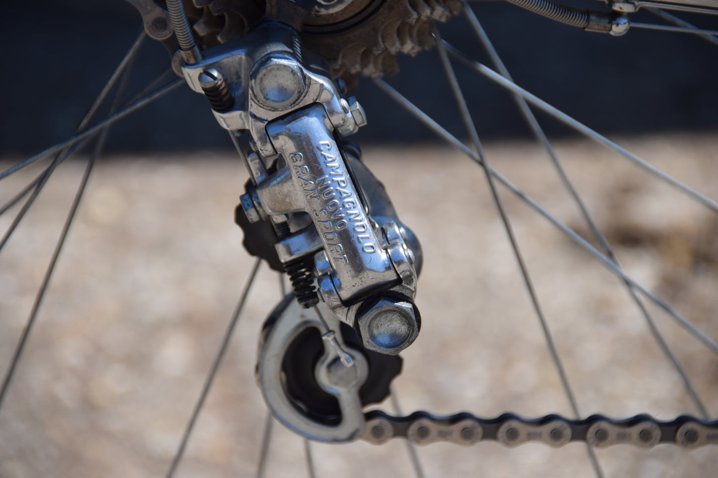 Colnago Sport 55 cm