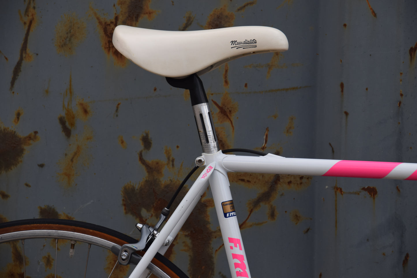 Francesco Moser Corsa 53 cm