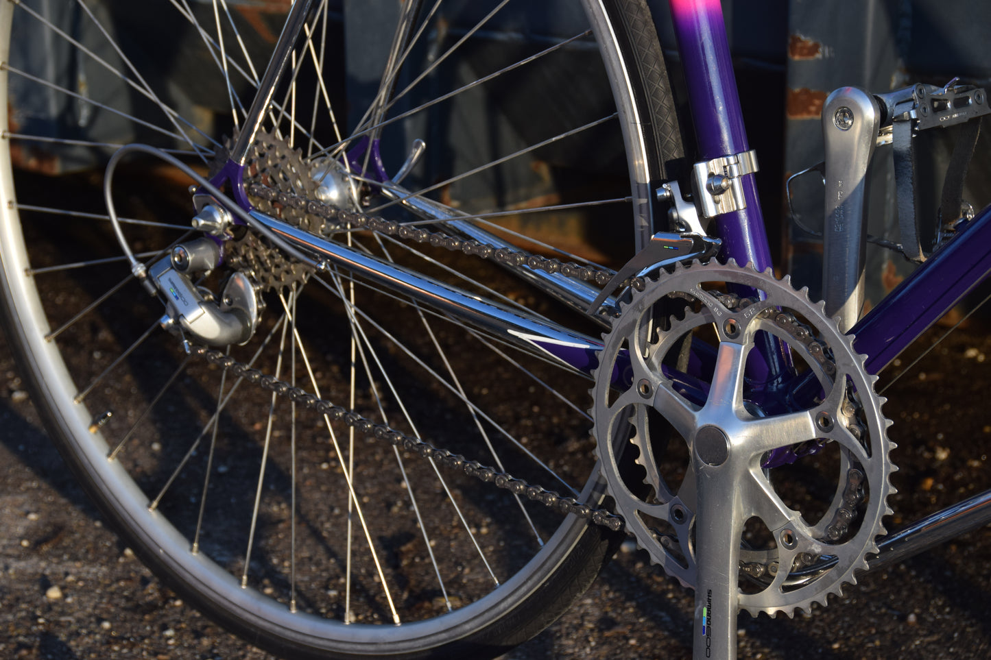 Romani Columbus Gara 58 cm