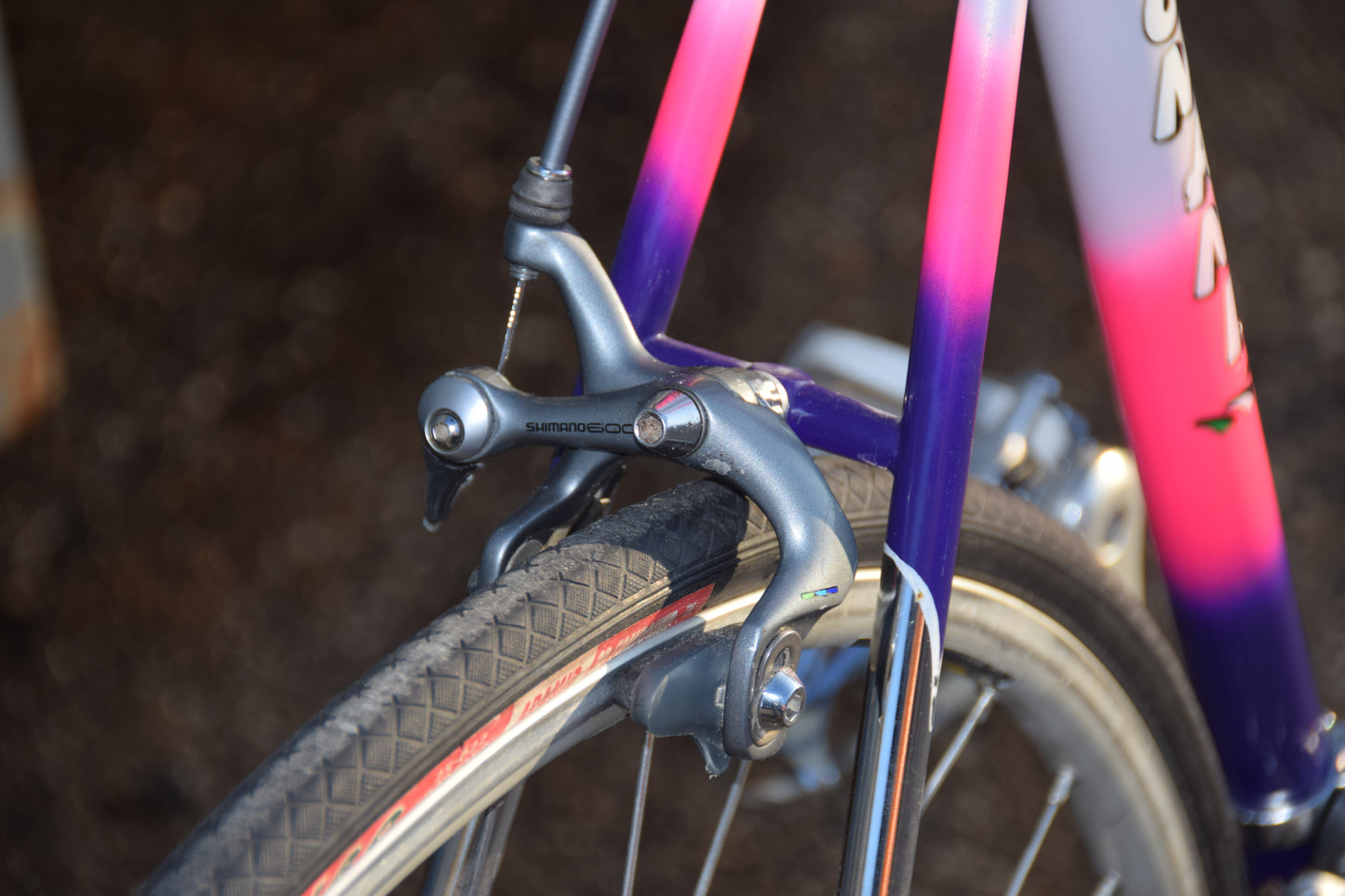 Romani Columbus Gara 58 cm