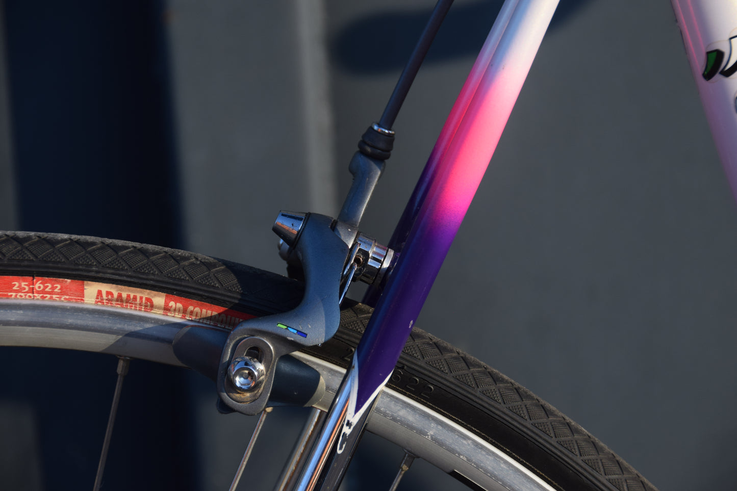 Romani Columbus Gara 58 cm