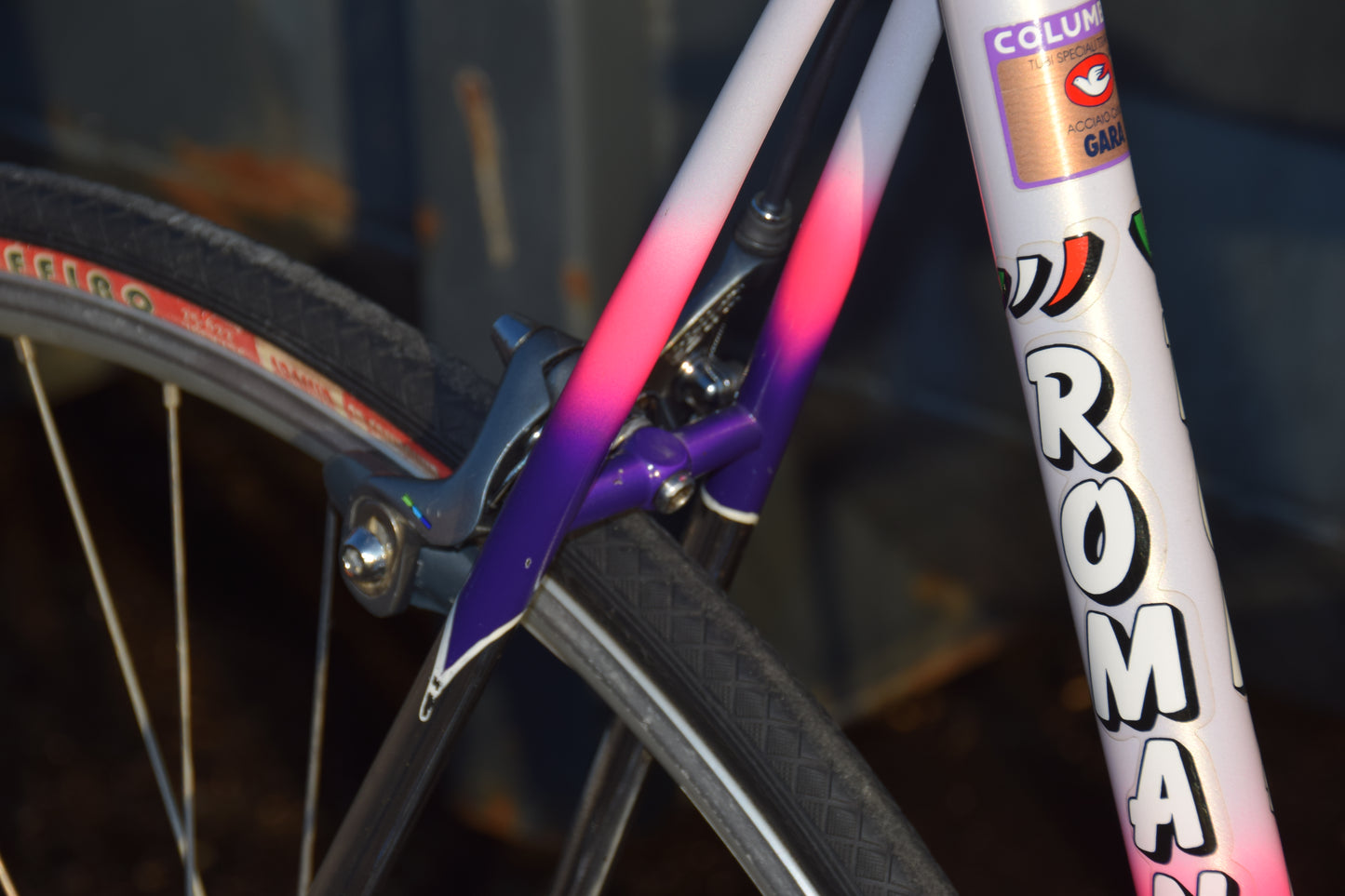 Romani Columbus Gara 58 cm