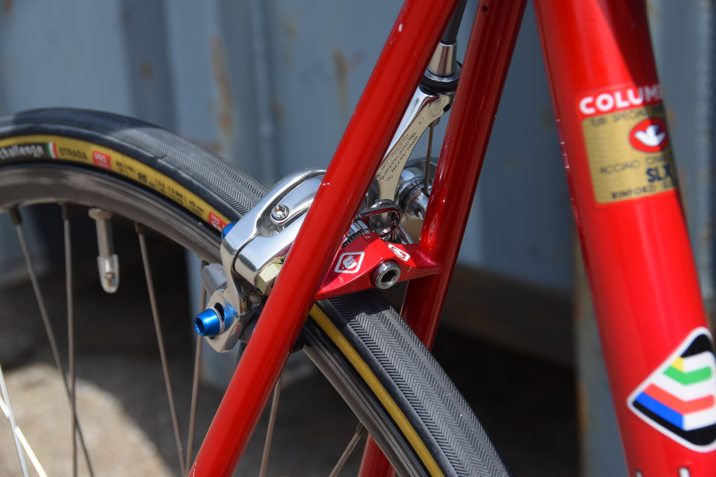 Basso Loto 53 cm