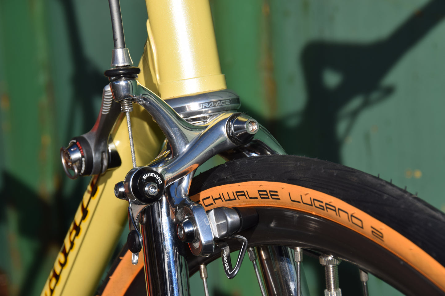 Casati Gold Line S 61 cm