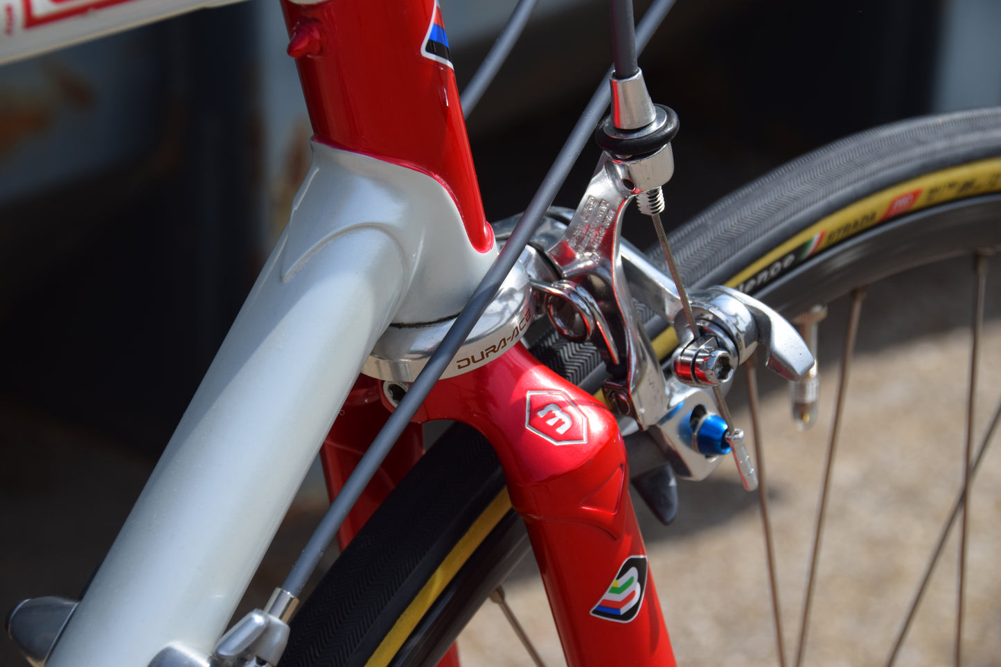 Basso Loto 53 cm