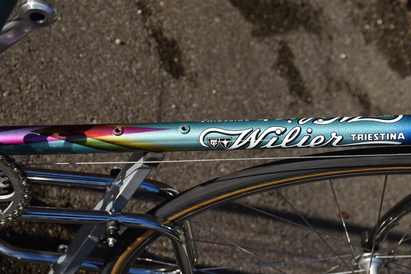 Wilier Triestina 56 cm