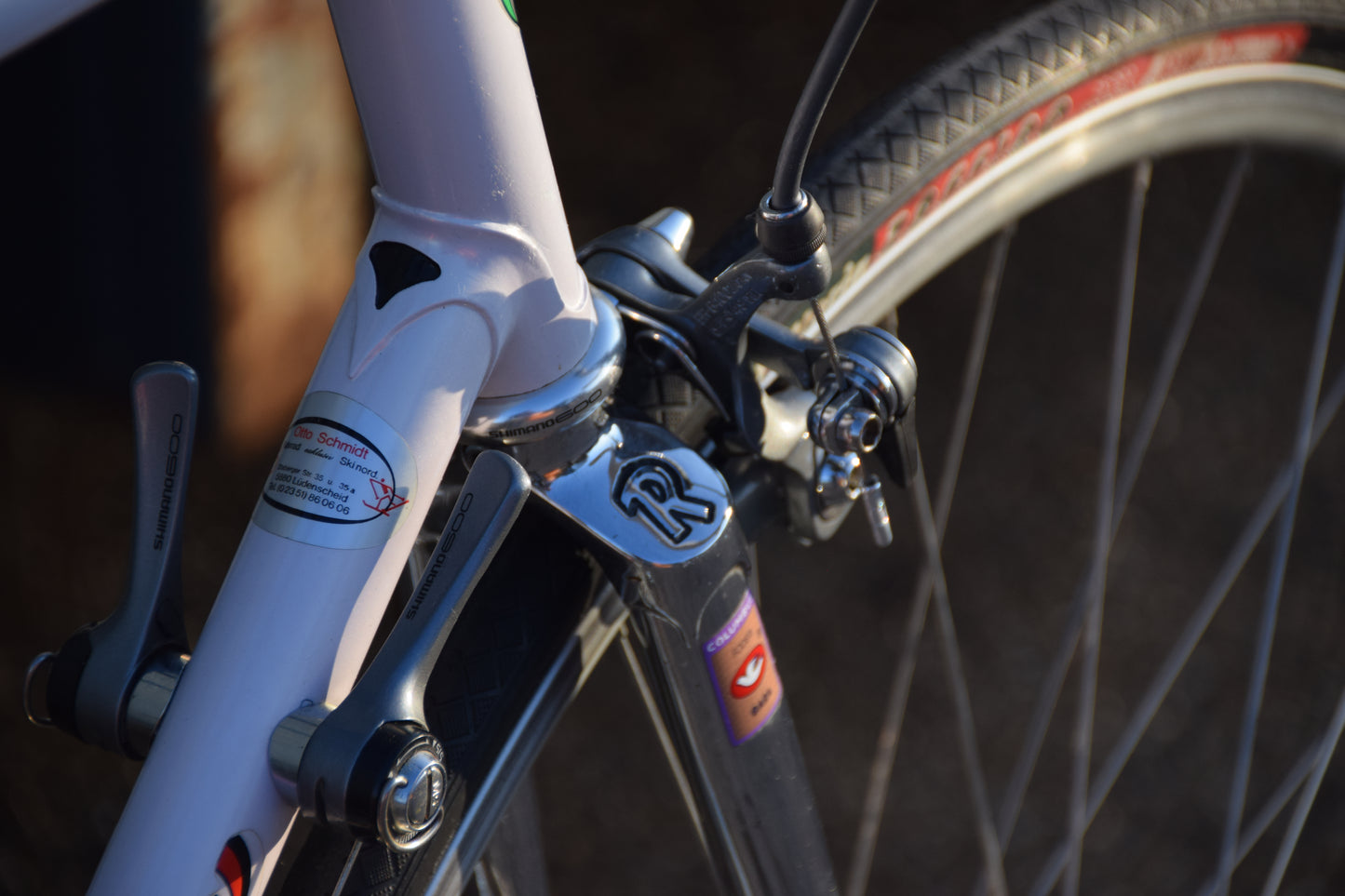 Romani Columbus Gara 58 cm