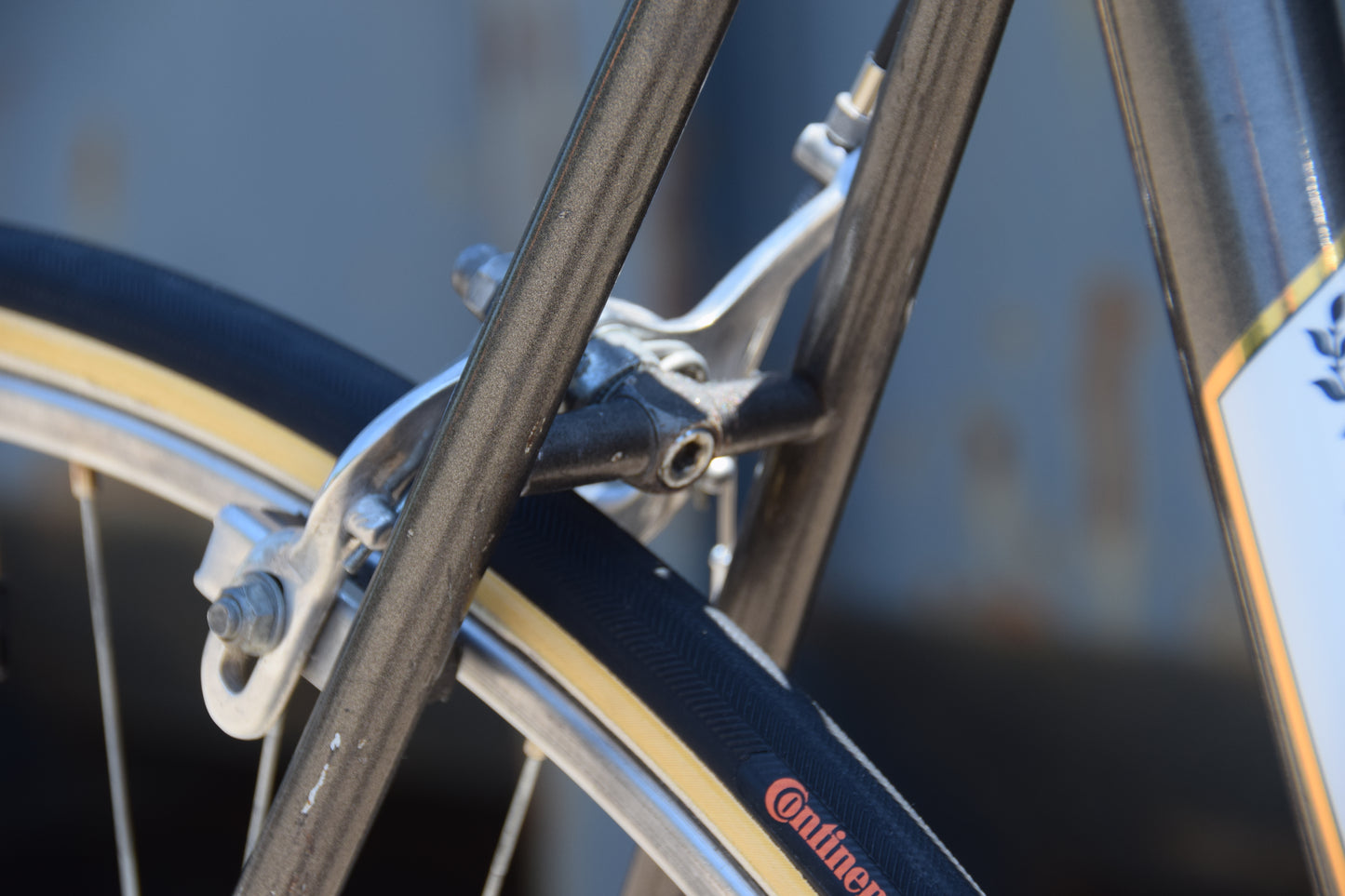 Colnago Sport 55 cm