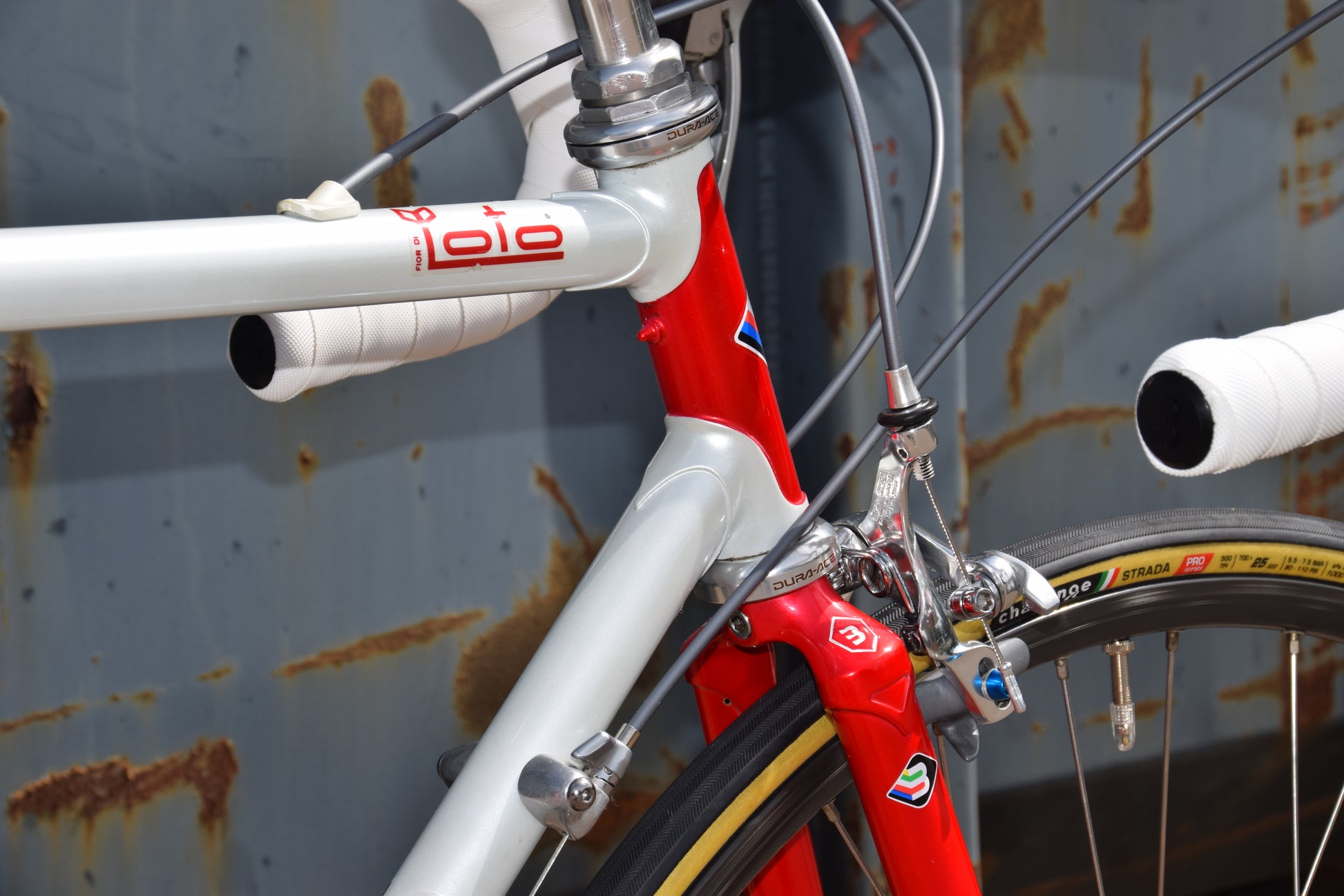 basso loto rennrad Basso Loto 53 cm – Real Steel Bikes