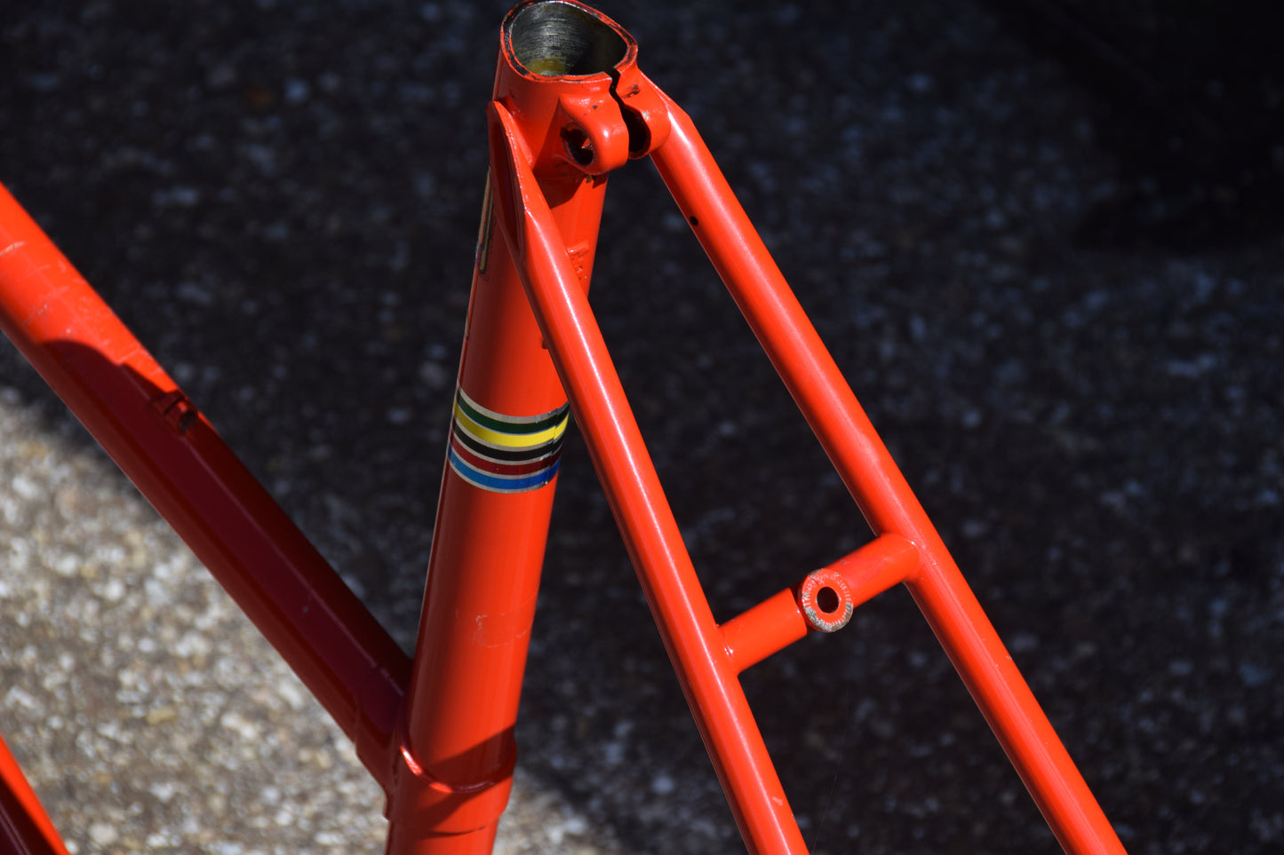 Mairag 2-Star Columbus Tretubi Frame 51 cm