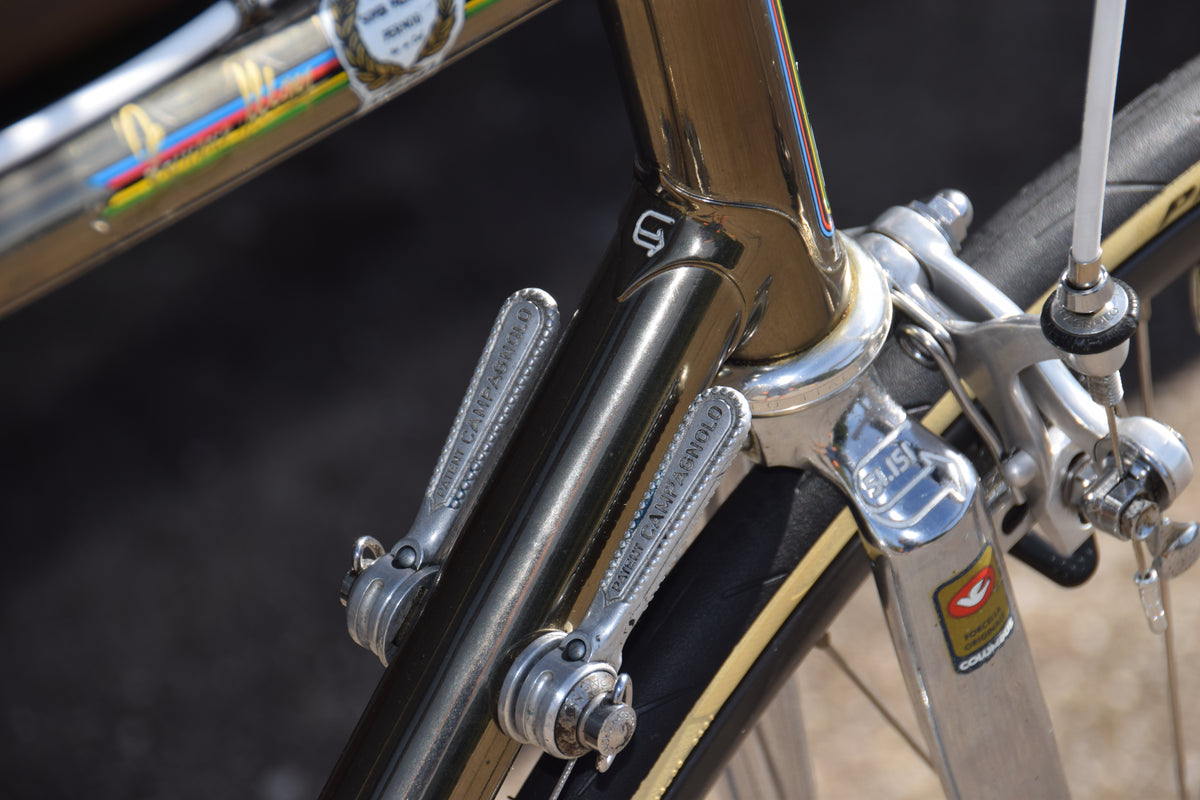 Francesco Moser 51.151 Cromovelato 55 cm