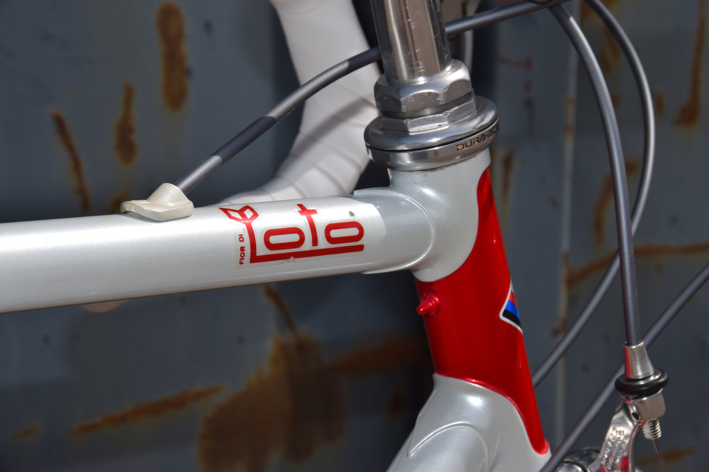 Basso Loto 53 cm