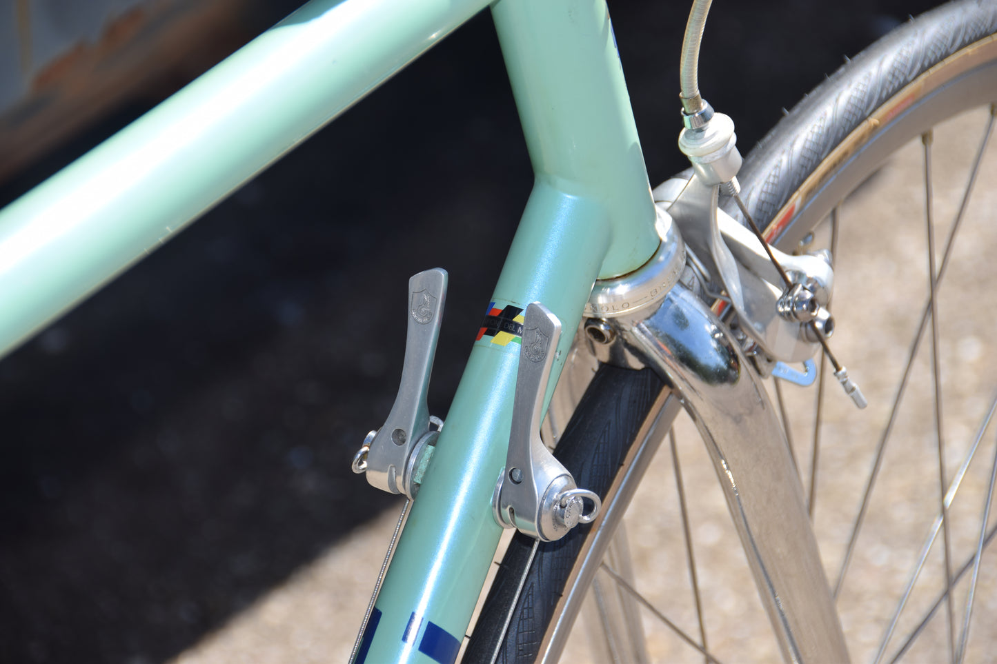 Bianchi Reparto Corse 57 cm