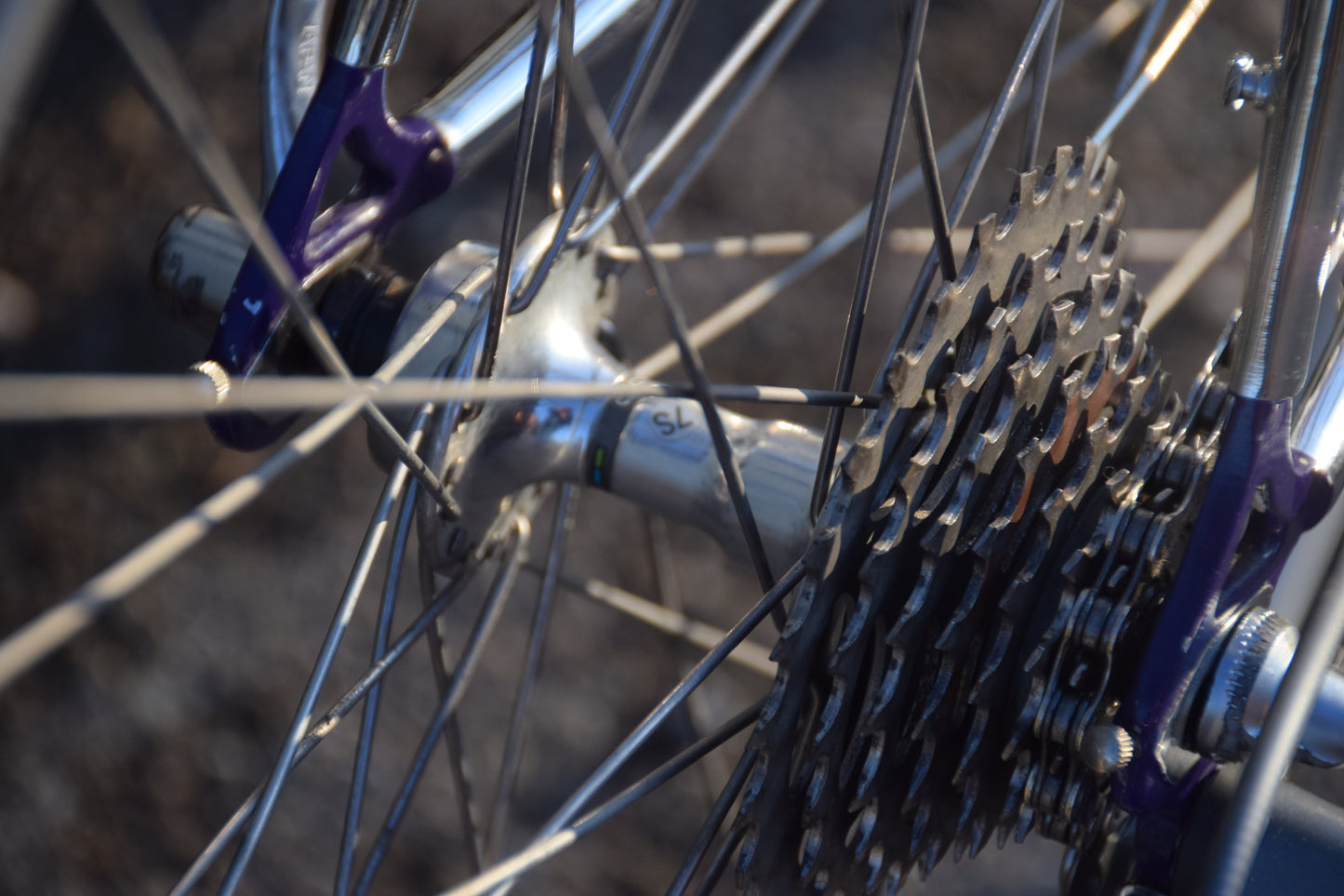 Romani Columbus Gara 58 cm