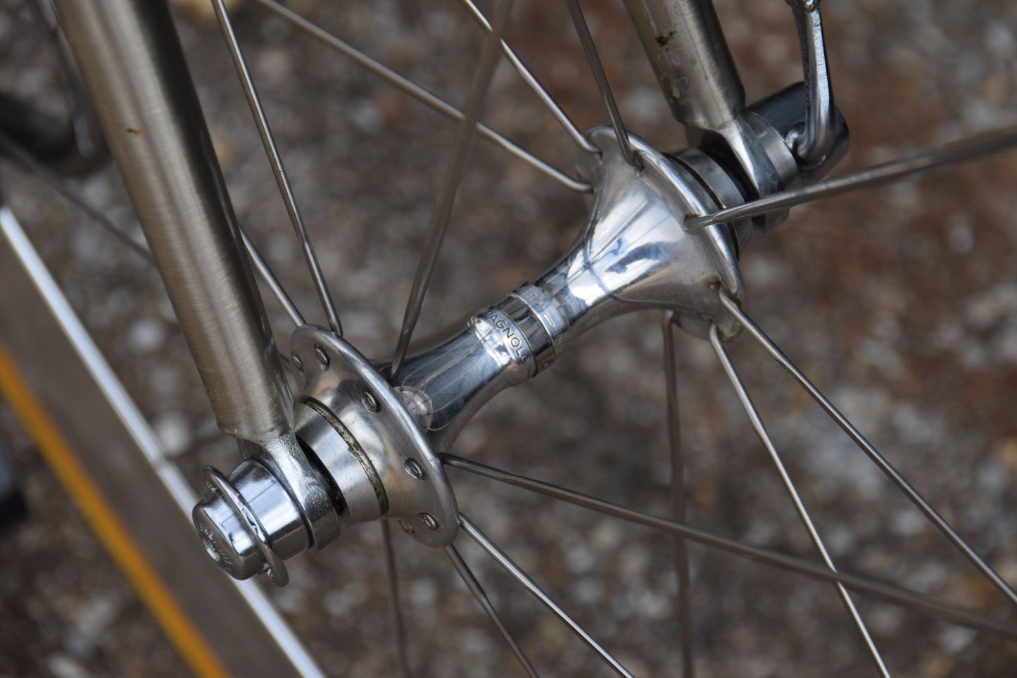 Colnago Bititan Art Decor 54 cm